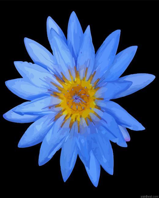 Blue water lily flower painting by numbers.jpeg