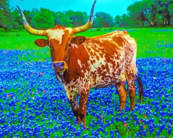 Bluebonnets and longhorn painting by numbers.jpeg