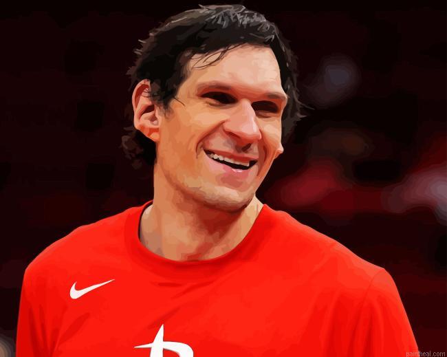 Boban marjanovic painting by numbers.jpeg