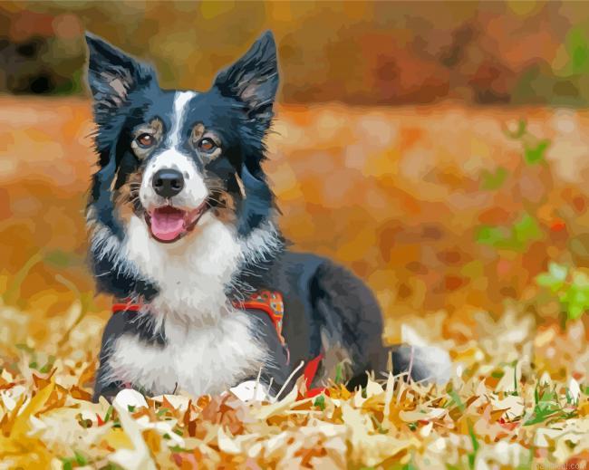 Border collie dog in leaves painting by numbers.jpeg