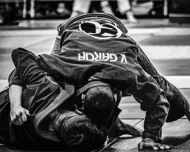 Brazilian jiu jitsu in black painting by numbers.jpeg