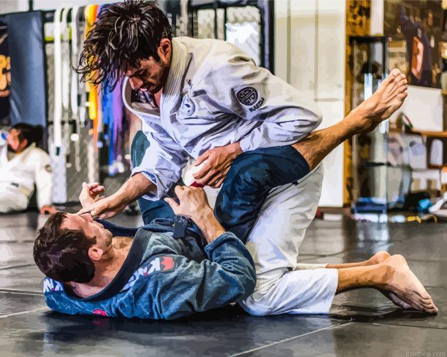 Brazilian jiu jitsu painting by numbers.jpeg