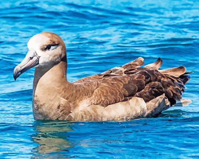 Brown albatross bird painting by numbers.jpeg
