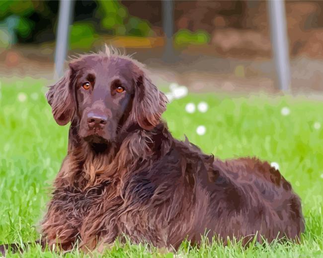 Brown flat coated retriever painting by numbers.jpeg