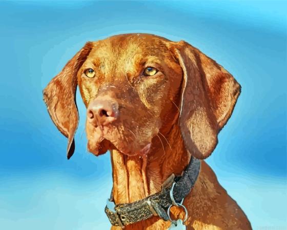 Brown pointing dog painting by numbers.jpeg
