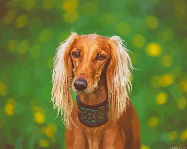 Brown saluki painting by numbers.jpeg