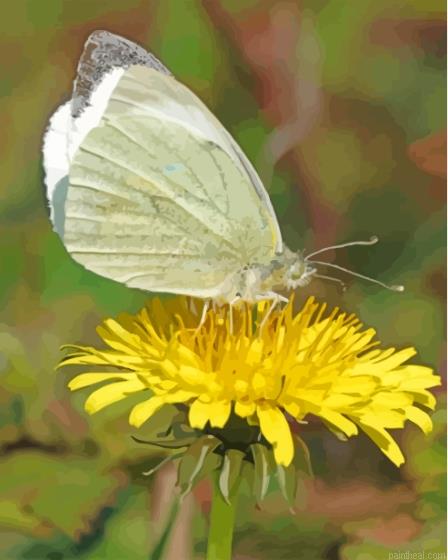 Butterfly on yellow dandelion painting by numbers.jpeg