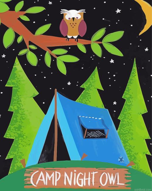 Camp night owl painting by numbers.jpeg
