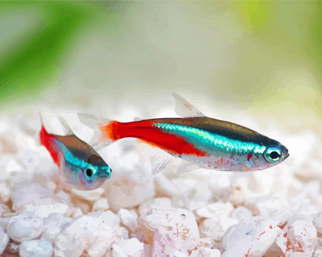 Cardinal tertras fish painting by numbers.jpeg