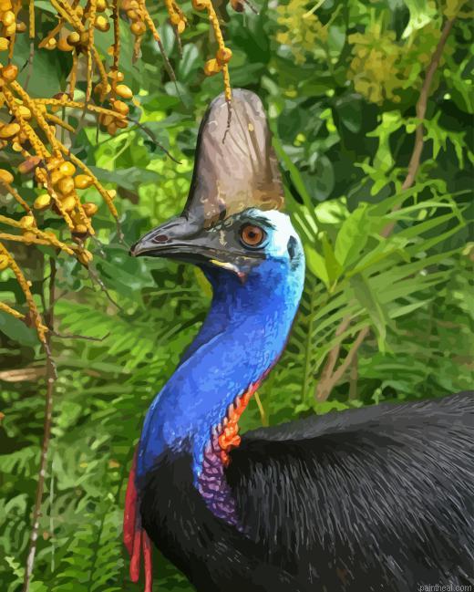 Cassowary bird painting by numbers.jpeg
