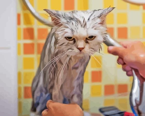 Cat hate her shower painting by numbers.jpeg