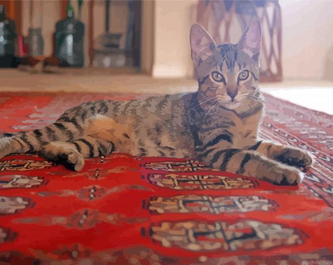 Cat on persian rug painting by numbers.jpeg