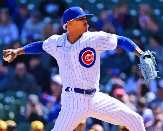 Chicago cubs baseball painting by numbers.jpeg