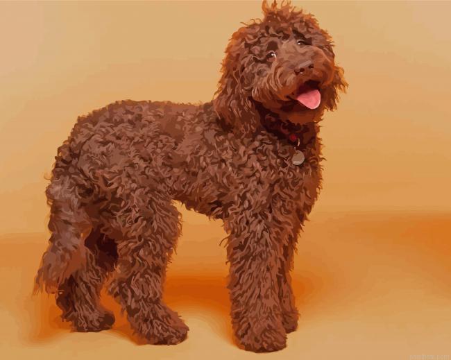 Chocolate labradoodle dog painting by numbers.jpeg