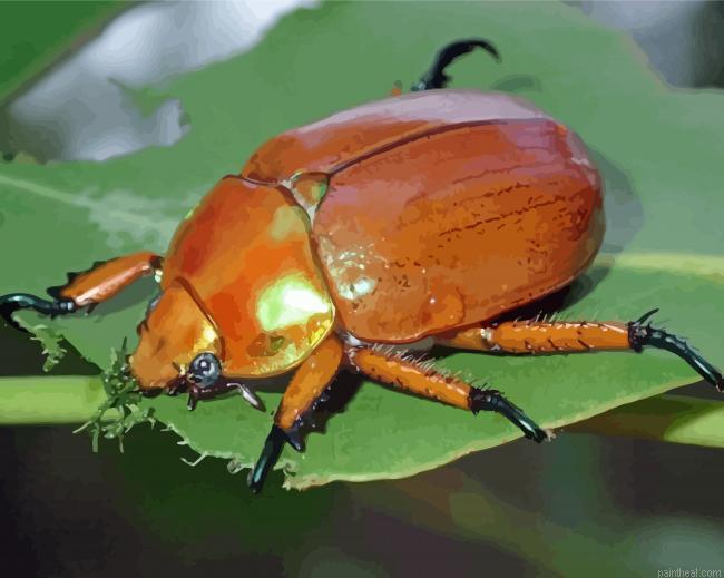Christmas beetle painting by numbers.jpeg