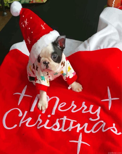 Christmas boston terrier puppy painting by numbers.jpeg