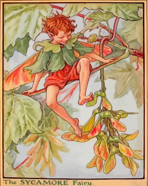 Cicely mary barker the sycamore fairy painting by numbers.jpeg