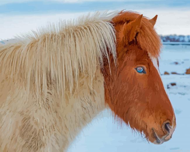 Close up icelandic horse with blue eyes painting by numbers.jpeg