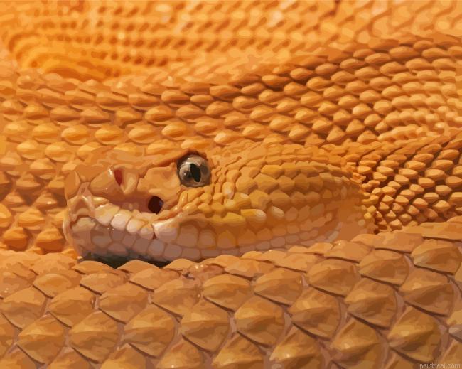 Close up venomous rattlesnake painting by numbers.jpeg