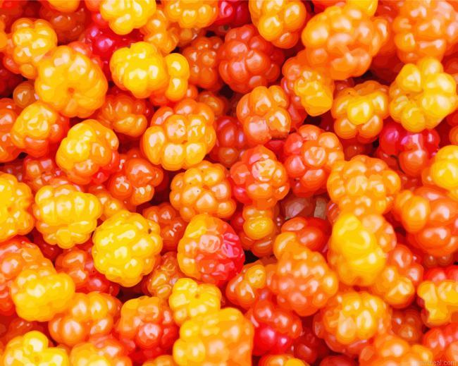 Cloudberries food painting by numbers.jpeg