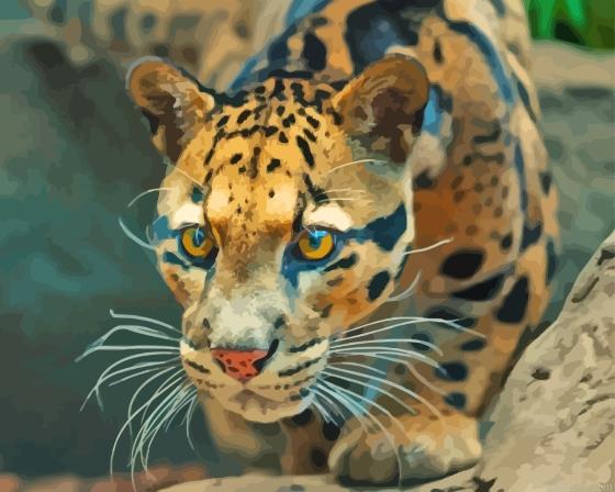 Clouded leopard painting by numbers.jpeg