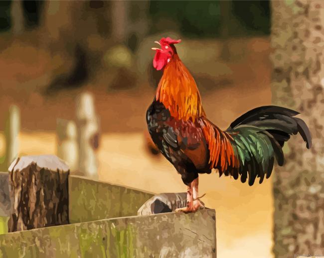 Cockerel painting by numbers.jpeg