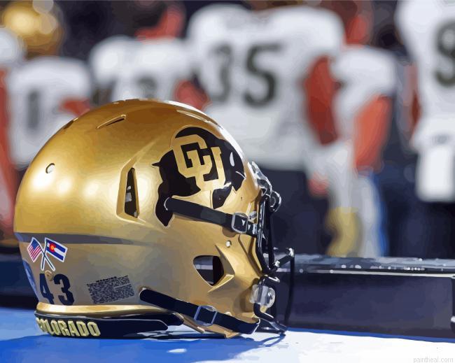 Colorado buffaloes helmet painting by numbers.jpeg