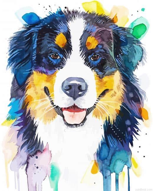 Colorful bernese mountain dog painting by numbers.jpeg