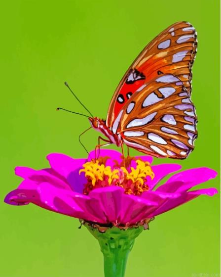Colorful butterfly on rose painting by numbers.jpeg