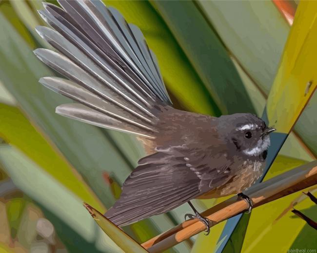Cool fantail painting by numbers.jpeg