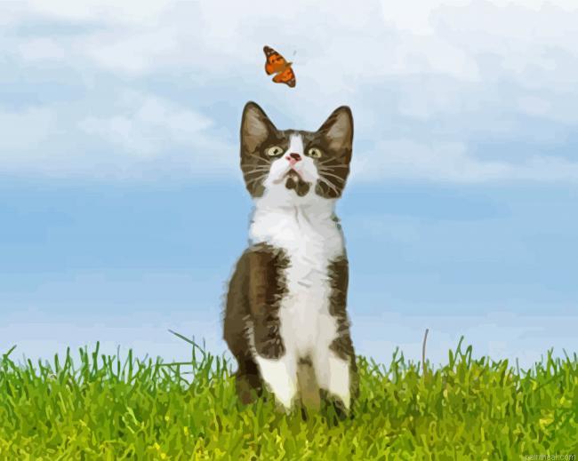 Cool kitten with buterflight painting by numbers.jpeg