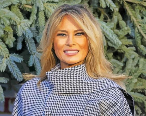 Cool melania trump painting by numbers.jpeg