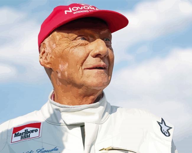 Cool niki lauda painting by numbers.jpeg