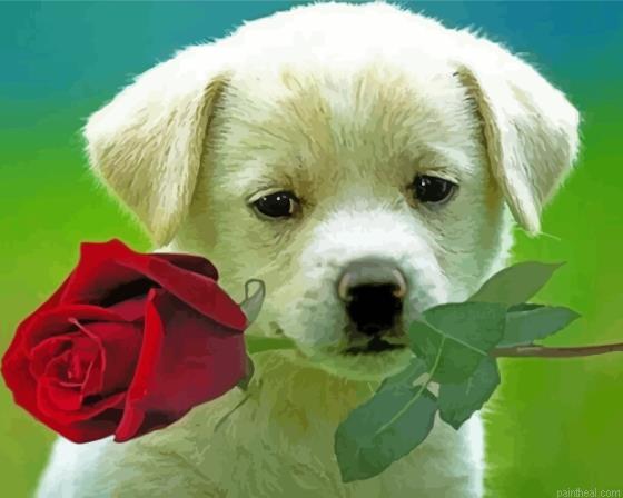 Cool puppy with rose painting by numbers.jpeg
