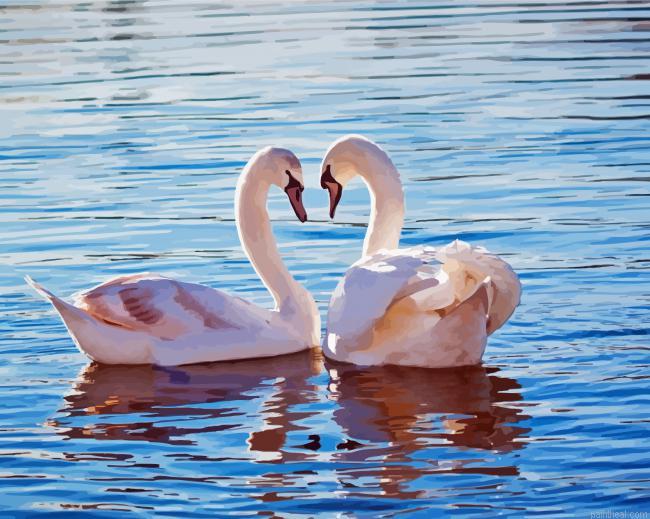 Couple swan birds painting by numbers.jpeg