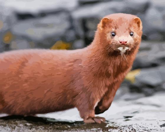 Cute brown mink painting by numbers.jpeg