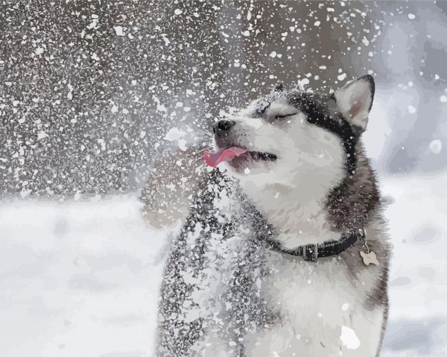 Cute dog in snow painting by numbers.jpeg