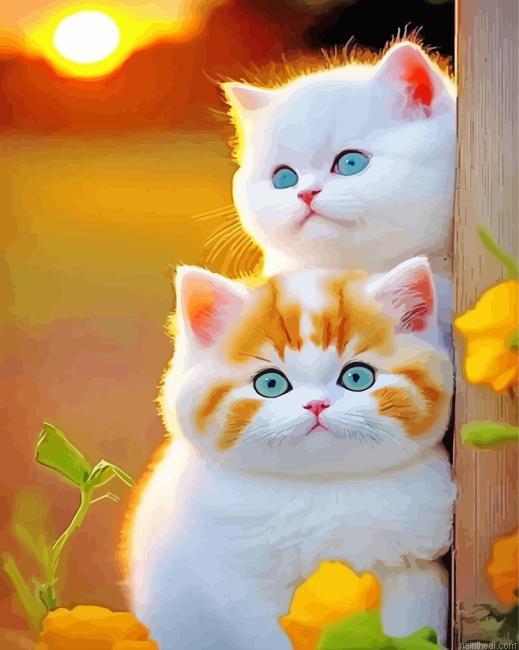 Cute kitten painting by numbers.jpeg