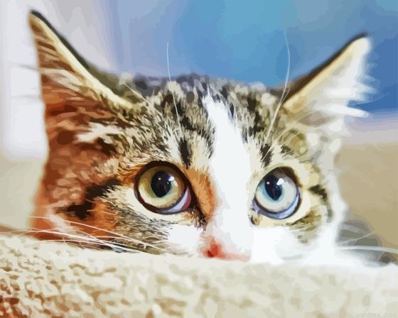 Cute sneaky kitten painting by numbers.jpeg