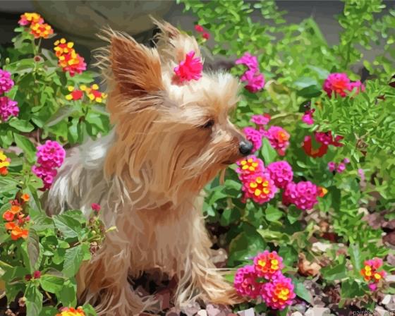 Cute yorkshire terrier and pink flowers painting by numbers.jpeg