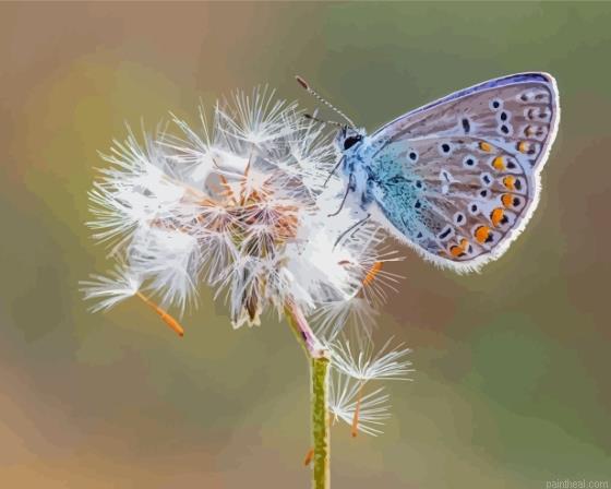 Dandelion butterflies painting by numbers.jpeg