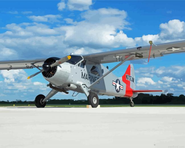 De havilland canada dhc2 beaver aircraft painting by numbers.jpeg