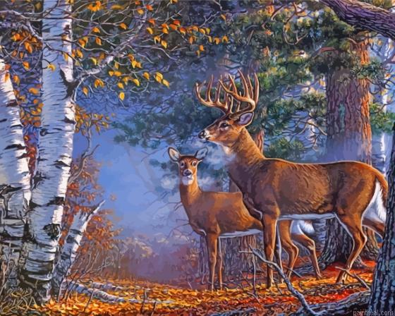 Deer couple in forest painting by numbers.jpeg