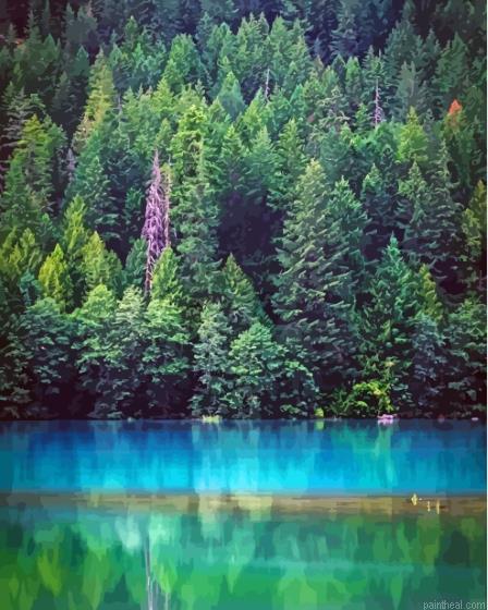 Dense forest landscape painting by numbers.jpeg