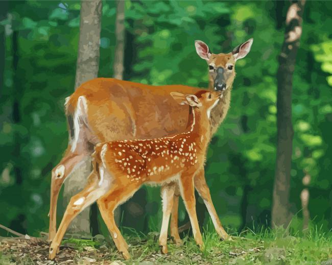 Doe and fawn painting by numbers.jpeg