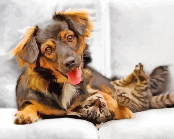 Dog and cat painting by numbers.jpeg