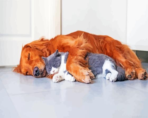 Dog and cat sleeping on the floor painting by numbers.jpeg