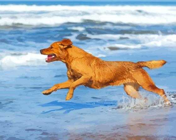 Dog in the beach playing painting by numbers.jpeg