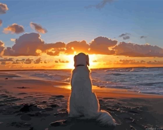 Dog in the beach sunset painting by numbers.jpeg