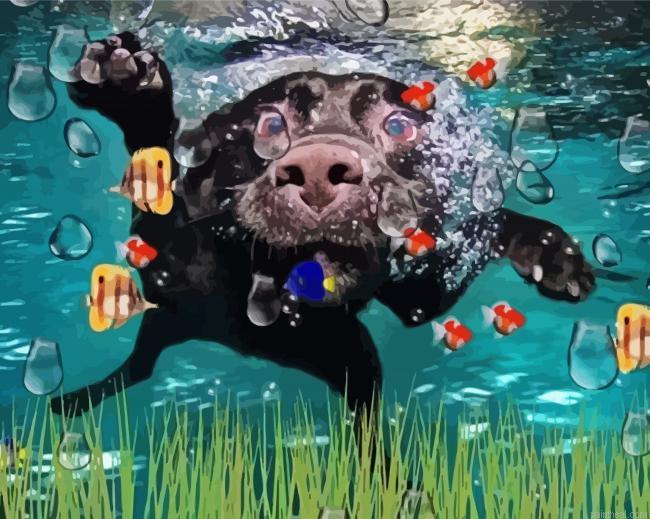 Dog swimming with fish painting by numbers.jpeg